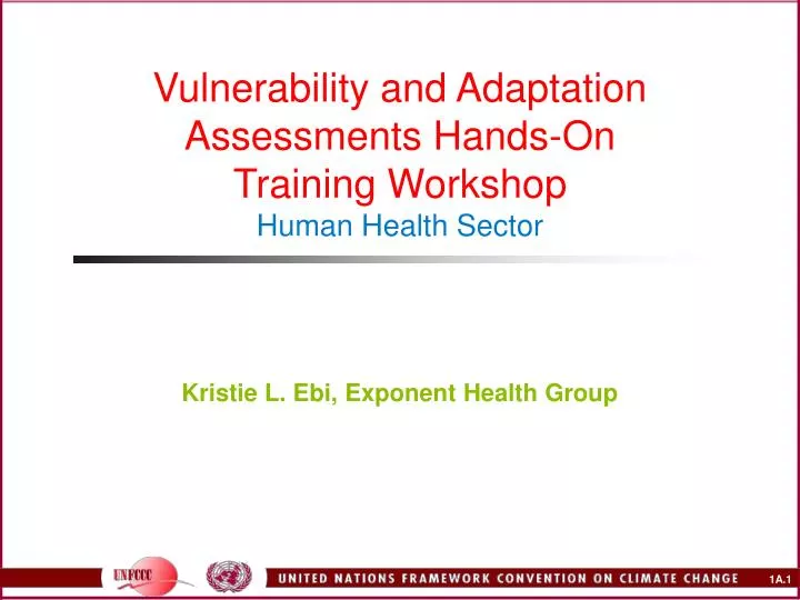 vulnerability and adaptation assessments hands on training workshop human health sector