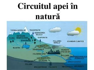 circuitul apei n natur