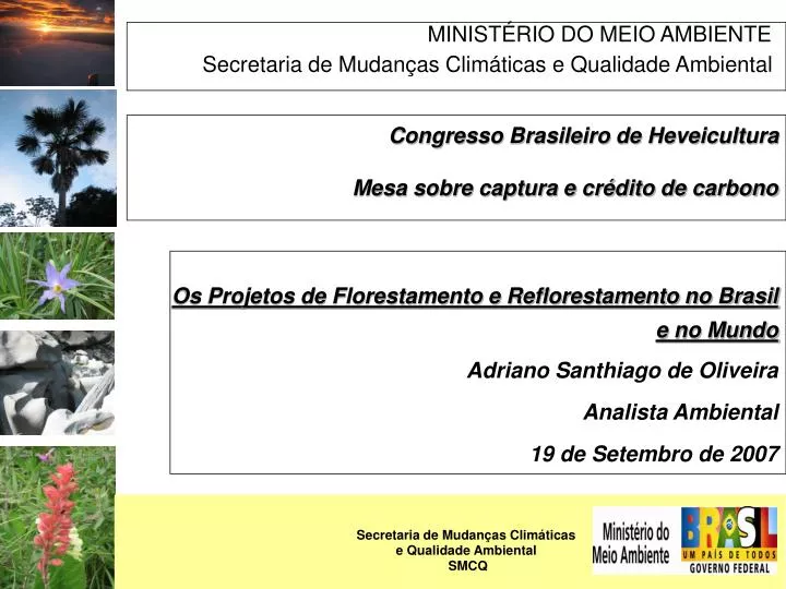 minist rio do meio ambiente secretaria de mudan as clim ticas e qualidade ambiental