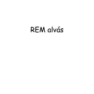 rem alv s