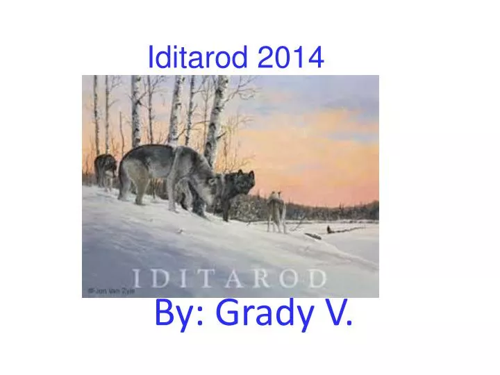 iditarod 2014