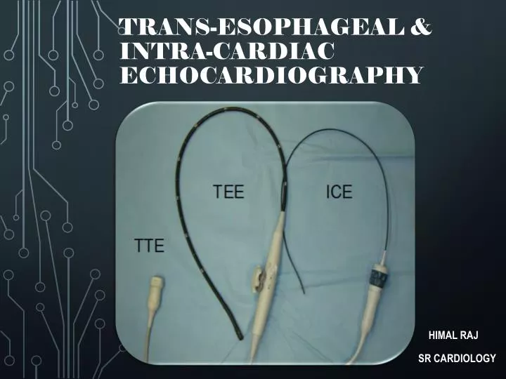 trans esophageal intra cardiac echocardiography
