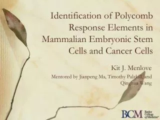 Identification of Polycomb Response Elements in Mammalian Embryonic Stem Cells and Cancer Cells