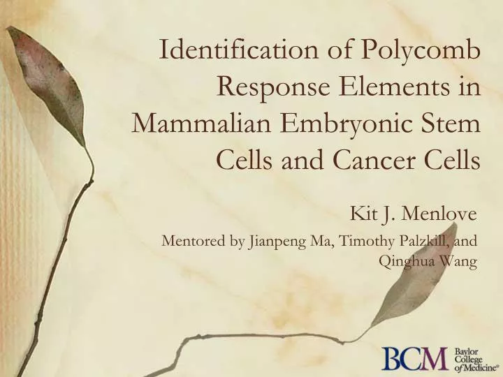identification of polycomb response elements in mammalian embryonic stem cells and cancer cells