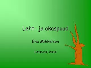 Leht- ja okaspuud