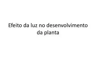 efeito da luz no desenvolvimento da planta