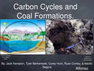 Carbon Cycles and Coal Formations.