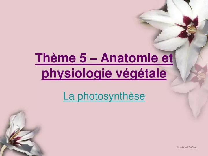 th me 5 anatomie et physiologie v g tale