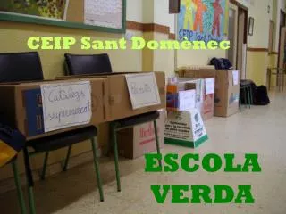 ceip sant dom nec
