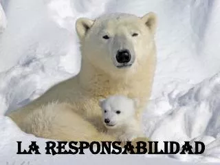 la responsabilidad