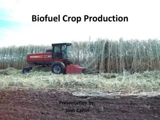 Biofuel Crop Production