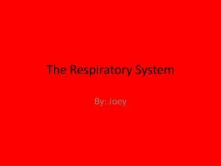 The Respiratory System