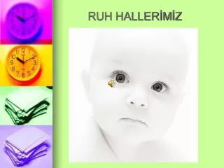 ruh haller m z