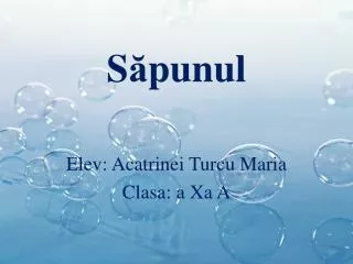 s punul