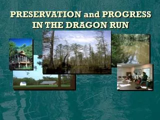 PRESERVATION and PROGRESS IN THE DRAGON RUN