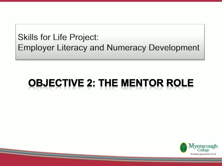 skills for life project employer literacy and numeracy development