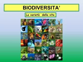 biodiversita