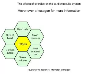 Hover over a hexagon for more information