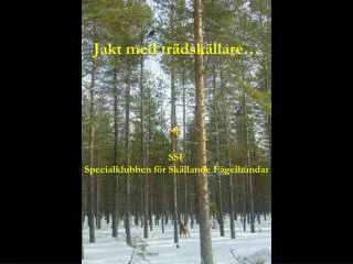 jakt med tr dsk llare ssf specialklubben f r sk llande f gelhundar