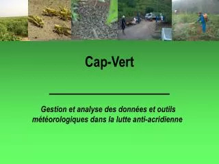 cap vert