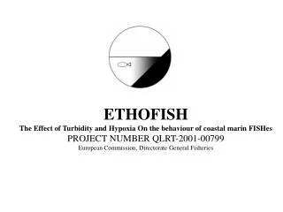 ETHOFISH The Effect of Turbidity and Hypoxia On the behaviour of coastal marin FISHes