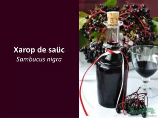 xarop de sa c sambucus nigra