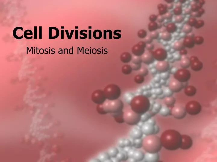 cell divisions