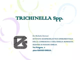trichinella spp