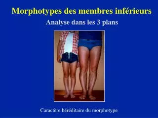 morphotypes des membres inf rieurs