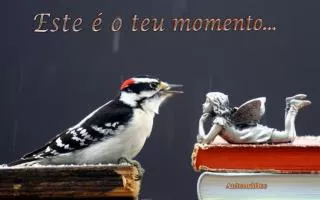 este o teu momento