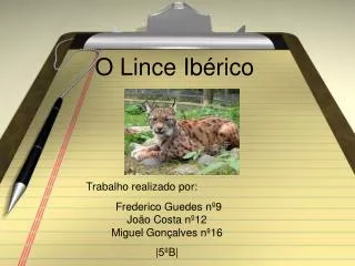 o lince ib rico