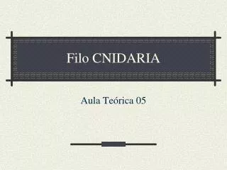 filo cnidaria