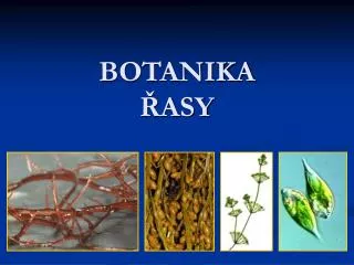 botanika asy