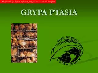 grypa ptasia