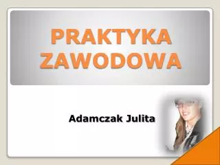 praktyka zawodowa