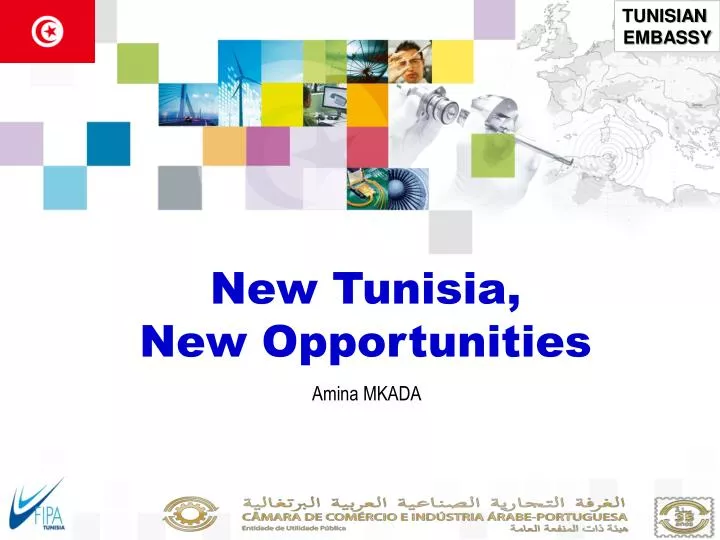 new tunisia new opportunities
