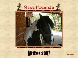 ran kocanda