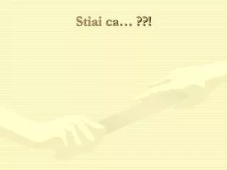 stiai ca