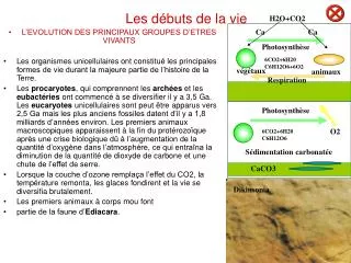les d buts de la vie