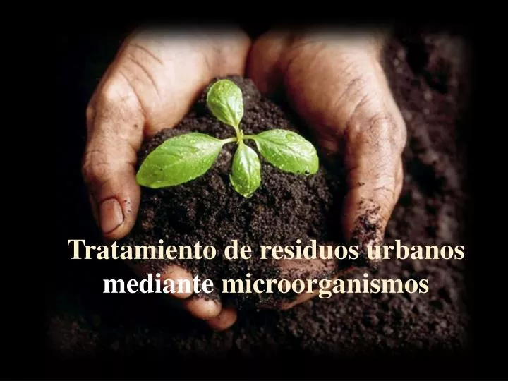 tratamiento de residuos urbanos mediante microorganismos