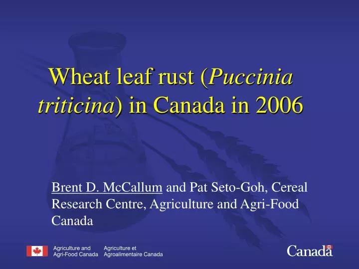 wheat leaf rust puccinia triticina in canada in 2006