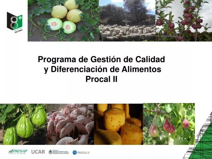 programa de gesti n de calidad y diferenciaci n de alimentos procal ii