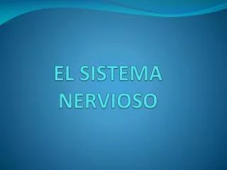 el sistema nervioso