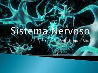 sistema nervoso
