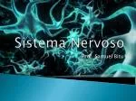 Sistema Nervoso - slide 1