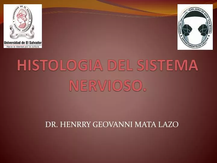 histologia del sistema nervioso