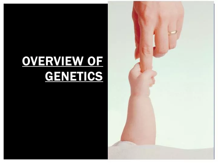 overview of genetics