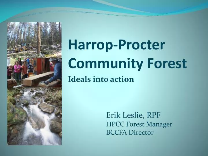 harrop procter community forest ideals into action