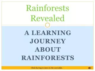 Rainforests Revealed