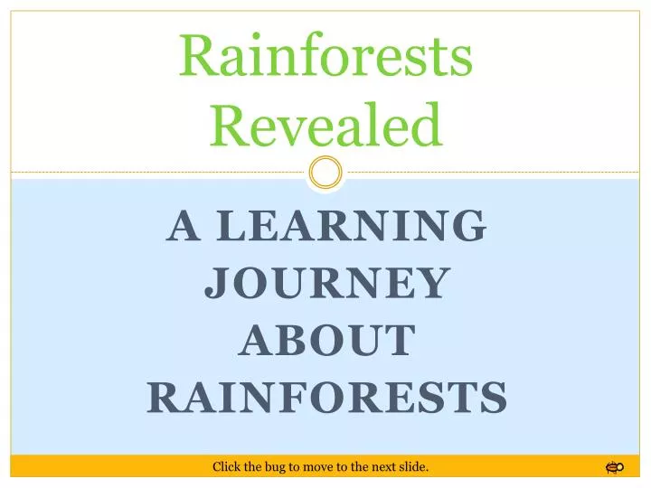 rainforests revealed